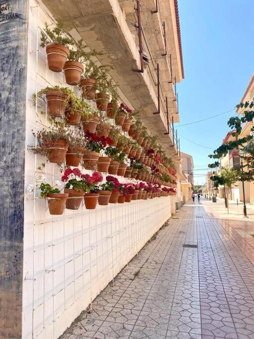 Villa Casa Naranja Los Alcázares Esterno foto